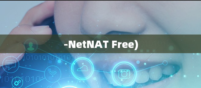 -NetNAT Free)